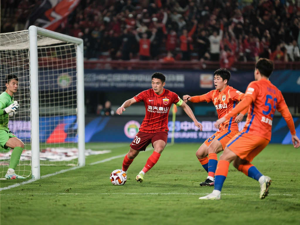 上提供更多 上提供更多